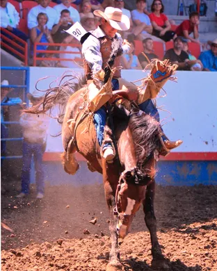 Colorado Stampede Rodeo event