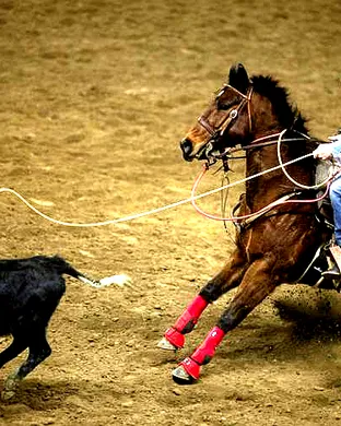 Columbia River Circuit Finals Rodeo Rodeo event