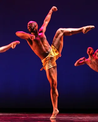 Complexions Contemporary Ballet Ballet show