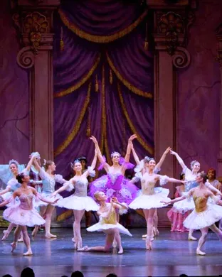 Connecticut Ballet Ballet show
