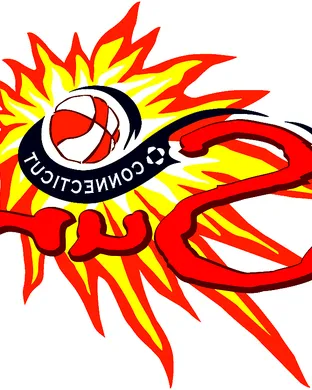 Connecticut Sun Basketball event