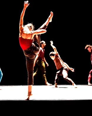 Contemporary Choreography Ballet show