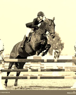 Continental - Equestrian Other event