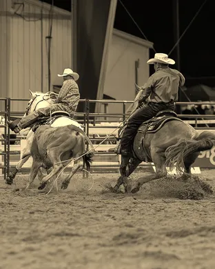Conyers Pro Rodeo Rodeo event