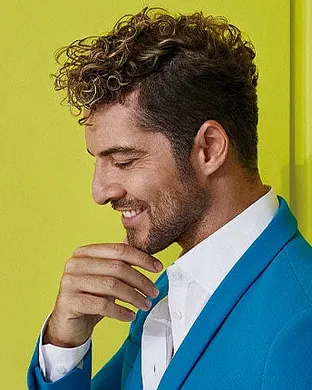 David Bisbal Latin concert