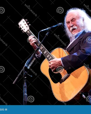 David Crosby Bluegrass concert
