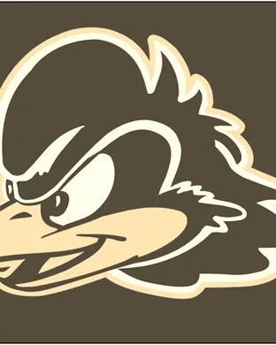 Delaware Blue Hens Football Football event