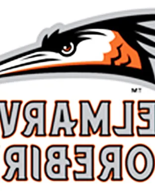 Delmarva Shorebirds Baseball event