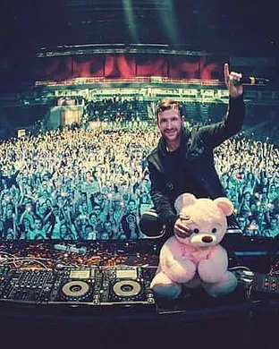 Don Diablo Festival concert