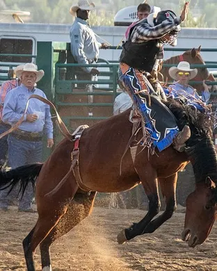 Draper Days Rodeo Rodeo event