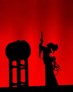 Drum Tao Dance show