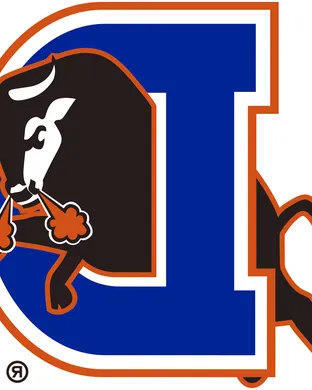 Durham Bulls Baseball event