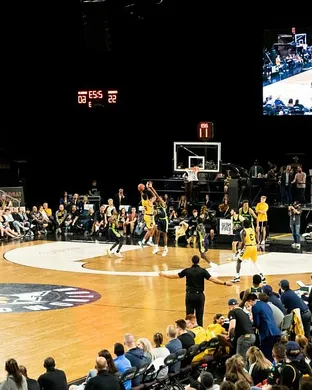 Edmonton Stingers Basketball event