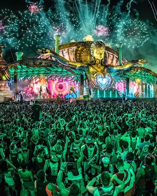 Electric Daisy Carnival Festival concert