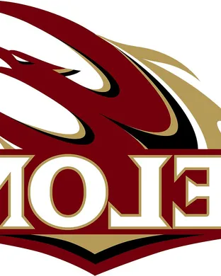 Elon Phoenix Baseball event