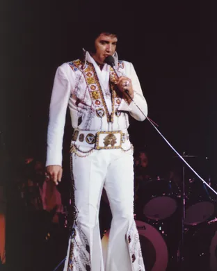 Elvis In Concert 50s concert