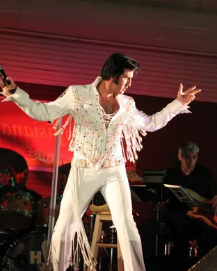Elvis In Concert 50s concert