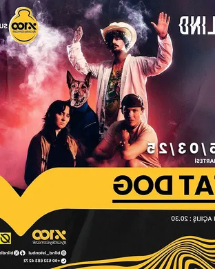 Fat Dog Alternative concert
