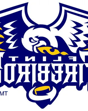 Flint Firebirds Basketball event