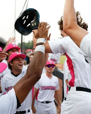 Florence Flamingos Baseball event