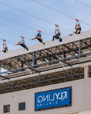 Fly Linq Zipline Other concert