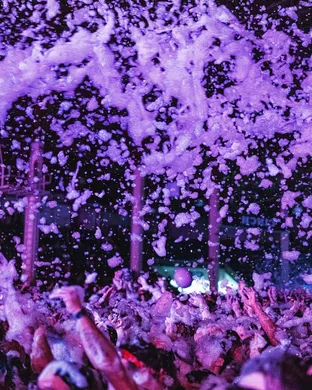 Foam Wonderland Techno concert