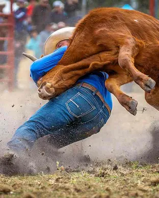 Fort Myers Pro Rodeo Rodeo event