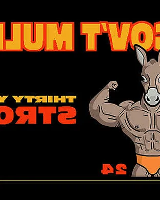 Gov't Mule Alternative concert