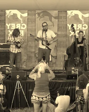 Grey Fox Bluegrass Festival Festival concert