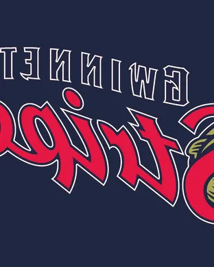 Gwinnett Stripers Baseball event
