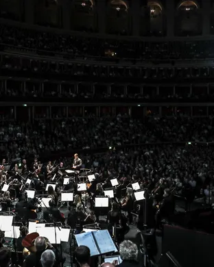 Harry Potter In Concert Film concert