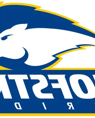 Hofstra Pride Baseball event