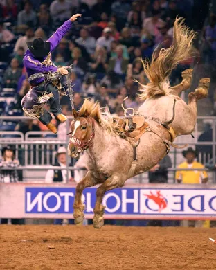 Houston Livestock Show And Rodeo Rodeo event