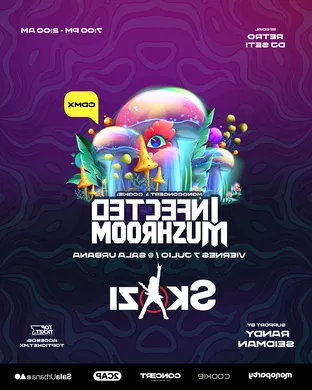 Infected Mushroom Techno concert