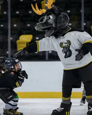 Iowa Heartlanders Hockey event