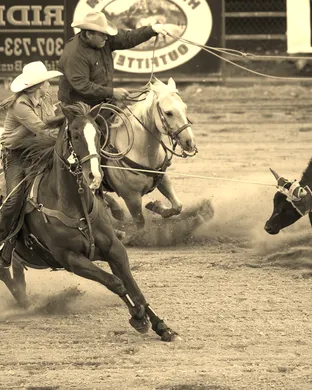 Jackson Hole Rodeo Rodeo event