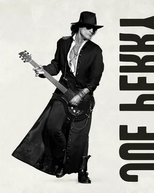 Joe Perry Pop concert