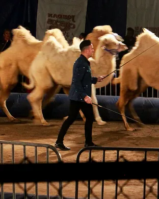 Jordan World Circus Circus concert