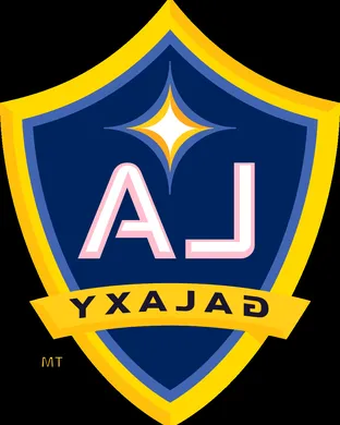 LA Galaxy Soccer event