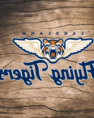 Lakeland Flying Tigers Baseball event