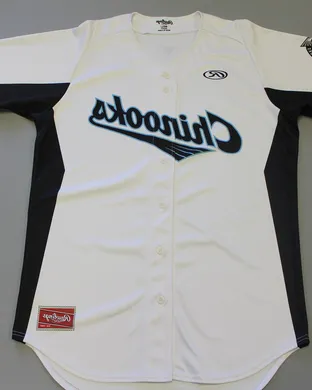 Lakeshore Chinooks Baseball event