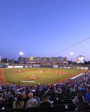 Lansing Lugnuts Baseball event