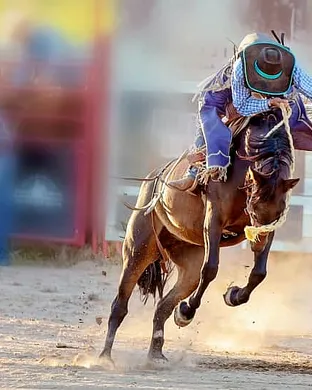 Lehi Roundup Rodeo Rodeo event