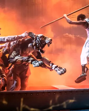 Life of Pi Broadway show