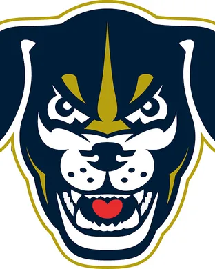Lincoln Saltdogs Baseball event