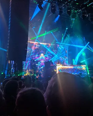 Liquid Stranger Festival concert