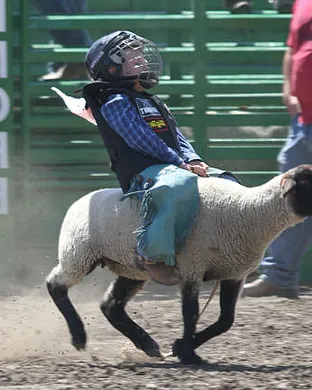 Livermore Rodeo Rodeo event