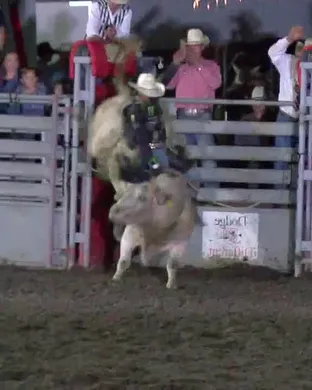 Livingston Roundup Rodeo Rodeo event