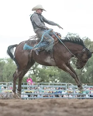 Lone Star Rodeo Rodeo event