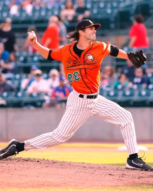 Long Island Ducks Baseball event